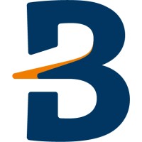 Boundaryless Group Logo