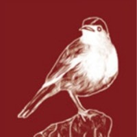 Pique Russe Logo