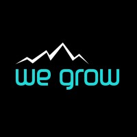 We Grow - Consultoria Logo
