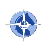 MS Strategy Consulting Logo