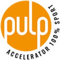 PULP accelerator Logo