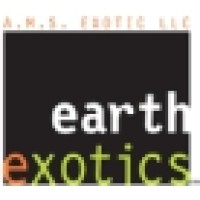 A.M.S. Exotic, LLC Logo