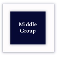 Middle Group Limited Logo