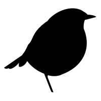 Whysebird Logo
