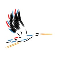 Dönüşüm Yolculuğu Logo