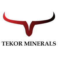 Tekor Minerals Pvt Ltd Logo
