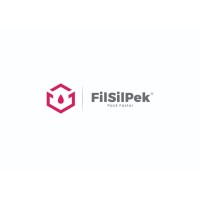 Filsilpek Solutions Pvt. Ltd Logo