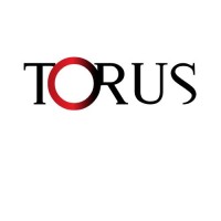 Torus Transforms Logo