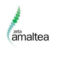 Zeta Amaltea Logo