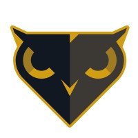 Black Owl Systems Inc. Logo