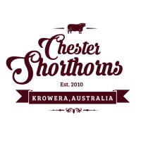 Chester Shorthorns Logo