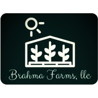 Brahma Farms Logo
