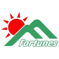 Fortunes Group Logo