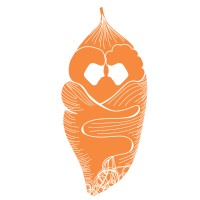 The Grief Cocoon Logo