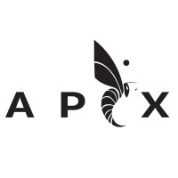 APIX Logo