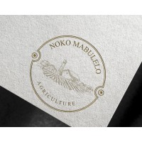 Noko Mabulelo Investments Holdings Logo