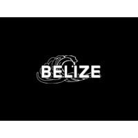 Belize Surf Logo