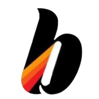 BridgeXFunding Logo