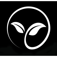 Lumea Building Co Logo