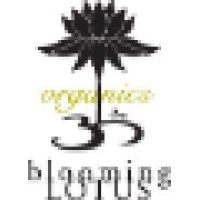 Blooming Lotus Logo