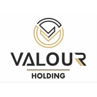 VALOUR HOLDING Logo
