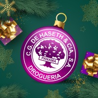 Grupo de Haseth Logo