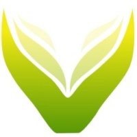 NEST Psychological Logo