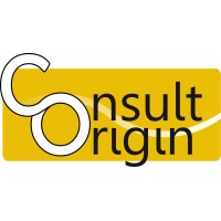 Consult Origin Logo