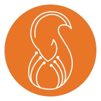 Squirai Viet Nam Technology Logo