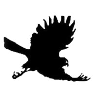 Blackhawk Audio Logo