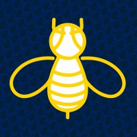Insight Buzz Logo