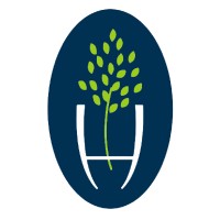 Hexagon Wealth Logo