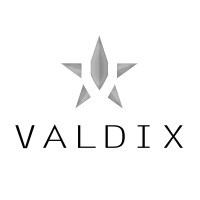 VALDIX MARINE OIL&GAS Logo