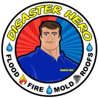 ESR Disaster Hero Logo
