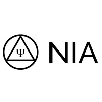 The Neurofeedback International Academy Logo