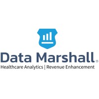 Data Marshall Logo