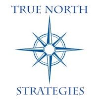 True North Strategies Logo