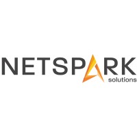 Net Spark Solutions Pvt. Ltd. Logo