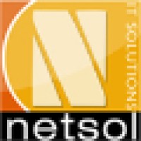 Netsol IT Solutions Pvt. Ltd. Logo