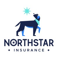 North Star Insurance LLC Logo