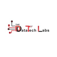 The DataTech Labs Inc (TDTL) Logo