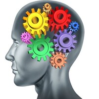Triangle Neuropsychology Services Logo