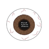 First Class Views Logo