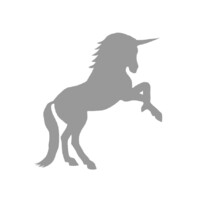 EINHORN Strategy & Mentoring Logo