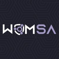Womens Security Alliance Logo
