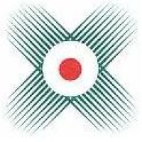 Strategic Systems, Inc. Logo