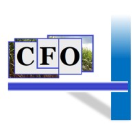 CFO Consultoria Logo