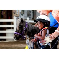 Starbrite Therapeutic Equestrian Center Logo