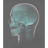 BRITISH ASSOCIATION OF ORAL SURGEONS Logo