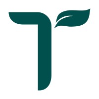 Theodora Tech Logo